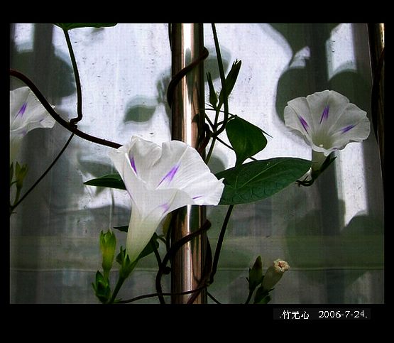 ���ȵ���������..P20,��۹�ţ;P18,�¼���~