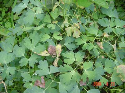 �����ﶷ��~~~����ɫ������PP�ϣ�����ҳ��ʼ����