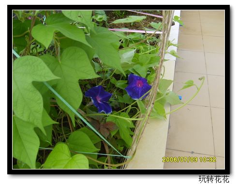 ����Ǯ׬�ˣ���3��ң�