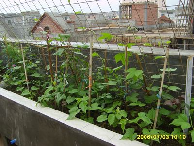 �Ҽҵ�¶̨��7.3���£�