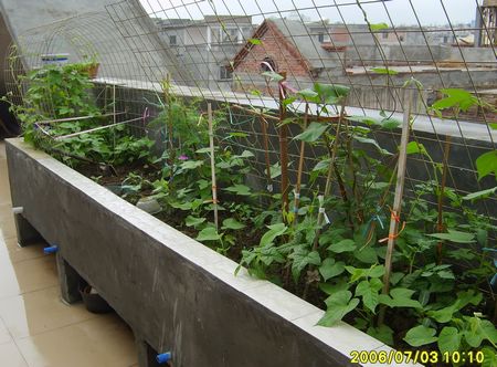 �Ҽҵ�¶̨��7.3���£�