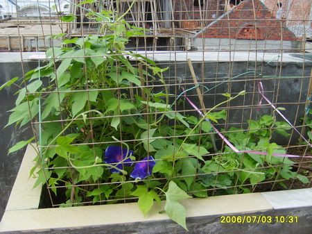 �Ҽҵ�¶̨��7.3���£�