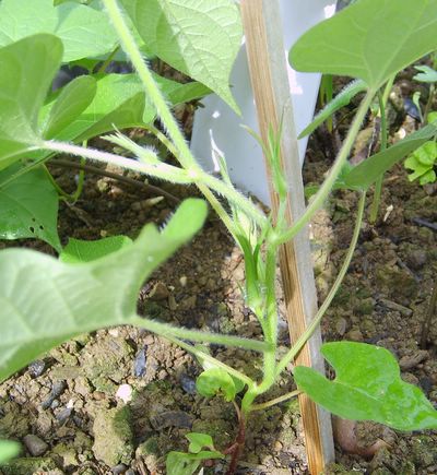 �Ҽҵ�¶̨��7.3���£�