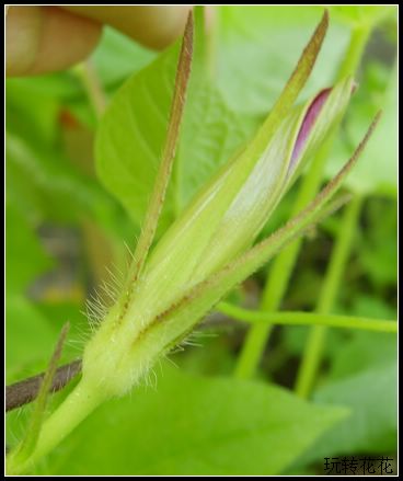 �Ҽҵ�¶̨��7.3���£�