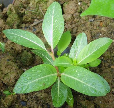 �Ҽҵ�¶̨��7.3���£�