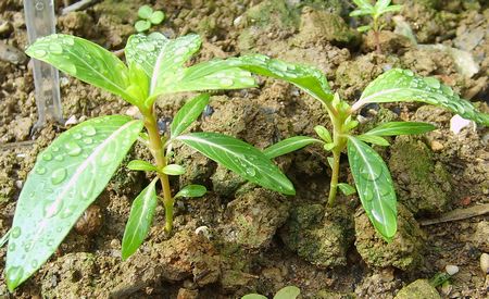 �Ҽҵ�¶̨��7.3���£�