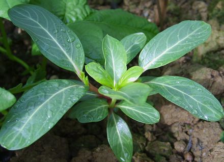 �Ҽҵ�¶̨��7.3���£�