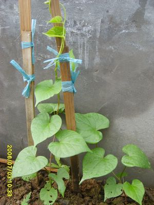 �Ҽҵ�¶̨��7.3���£�