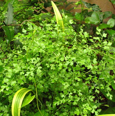 ���N�Nާ������