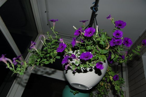 ��ţ�Ķ���������һ�¿ΰɣ��ҵ����ǳ��ò���