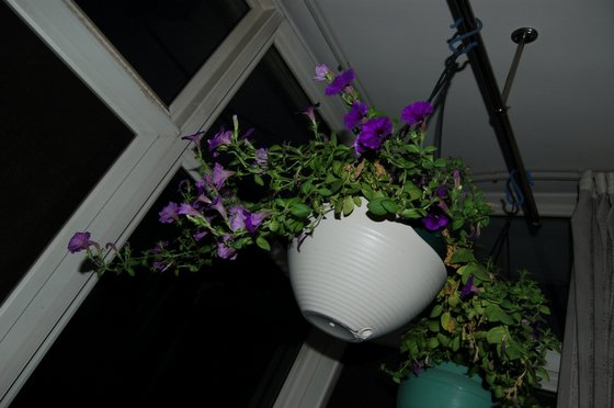 ��ţ�Ķ���������һ�¿ΰɣ��ҵ����ǳ��ò���