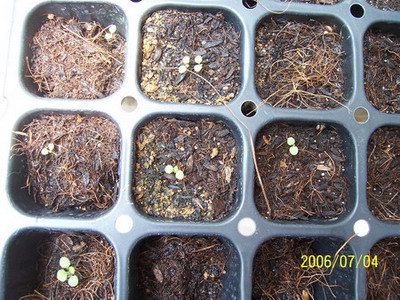 06�� �����ռ� - С����(����P2-6�������մ�-Ҫ��G��\R�淵�����)