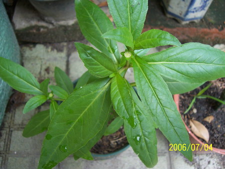 06�� �����ռ� - С����(����P2-6�������մ�-Ҫ��G��\R�淵�����)