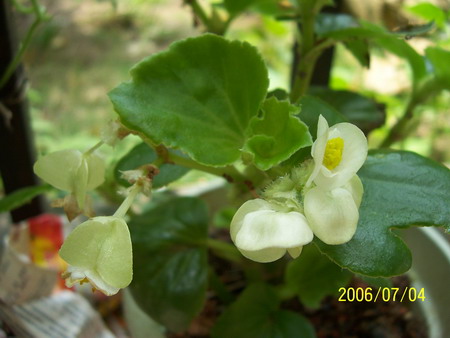 06�� �����ռ� - С����(����P2-6�������մ�-Ҫ��G��\R�淵�����)