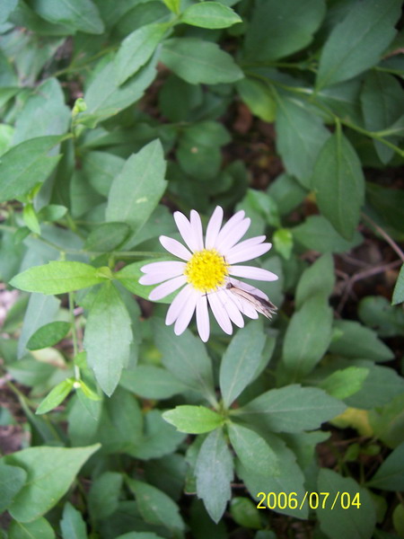 06�� �����ռ� - С����(����P2-6�������մ�-Ҫ��G��\R�淵�����)