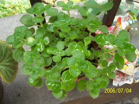 06�� �����ռ� - С����(����P2-6�������մ�-Ҫ��G��\R�淵�����)