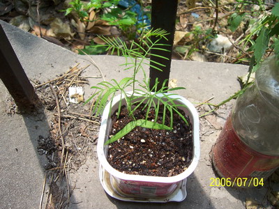 06�� �����ռ� - С����(����P2-6�������մ�-Ҫ��G��\R�淵�����)