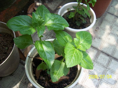 06�� �����ռ� - С����(����P2-6�������մ�-Ҫ��G��\R�淵�����)