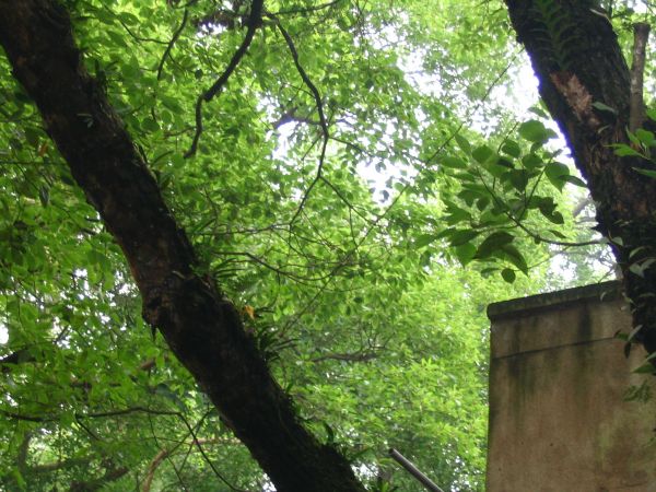 ���N�Nާ������