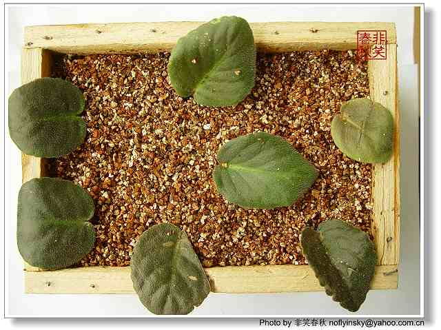 [����]����������......