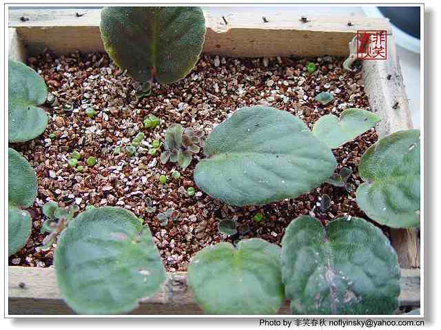 [����]����������......