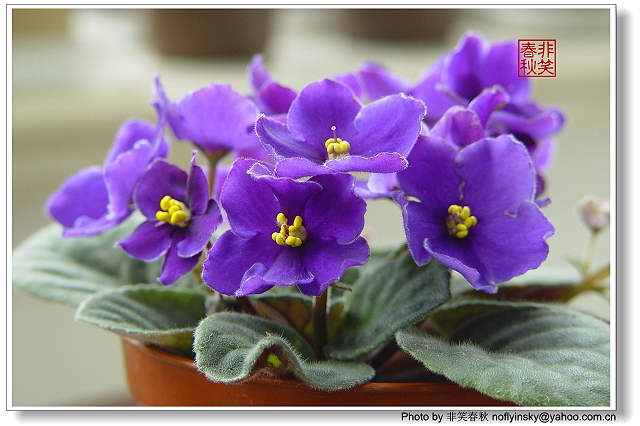 [����]����������......