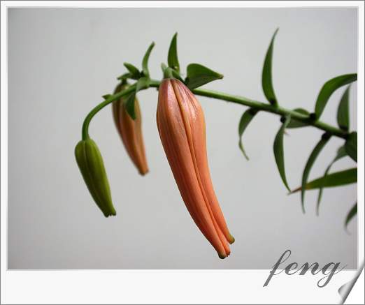 �ٺϿ�����P6��̯�ٺ��л����ˣ�