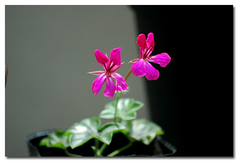 �����ķ���,���ÿ�(�ذ����ÿ��У�������)