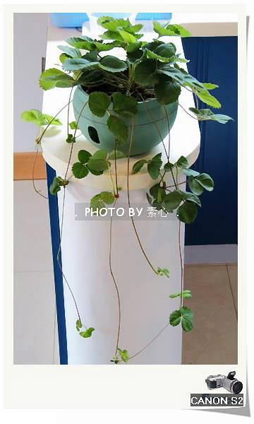 �����ĵļҾ�:)