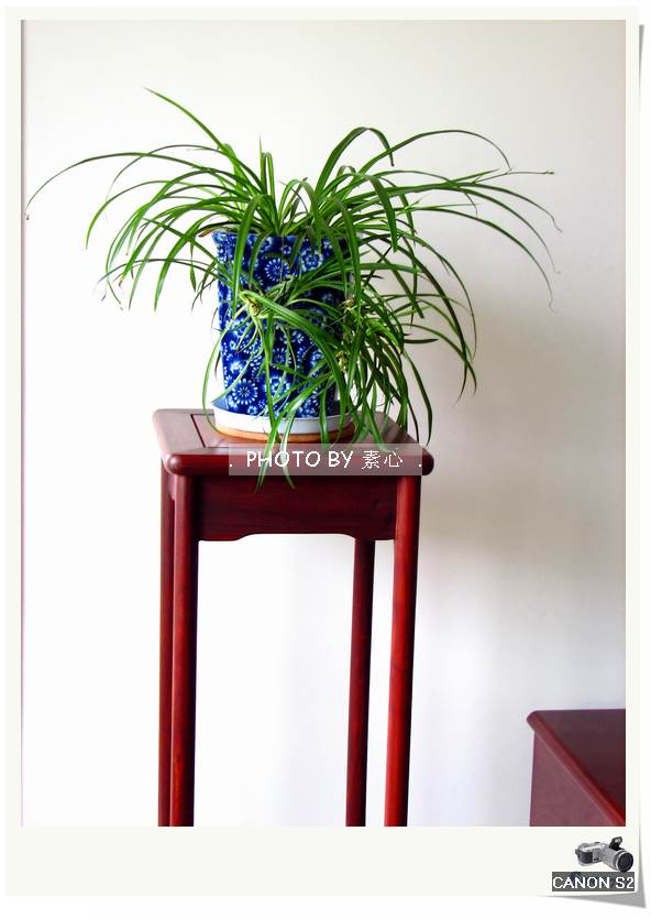 �����ĵļҾ�:)