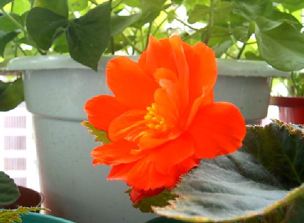 �������