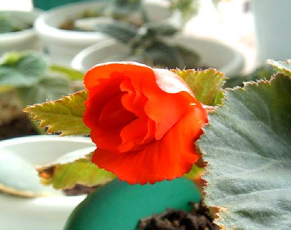 �������