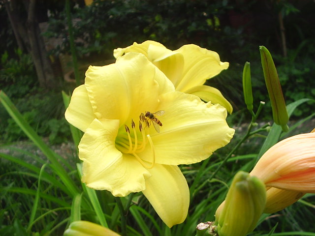 �����ҵ����(�ÿ����ϣ�