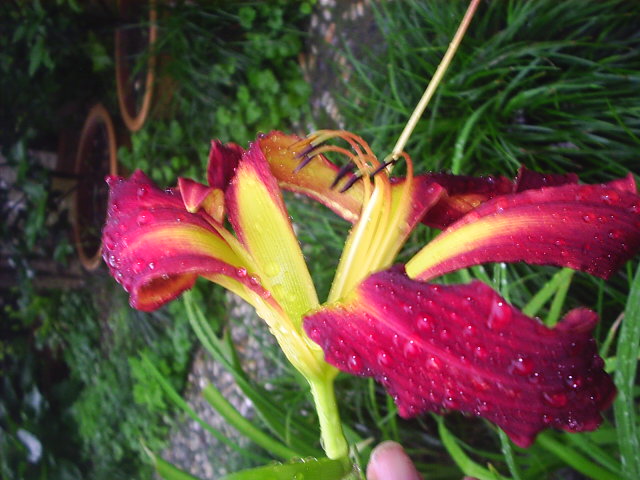 �����ҵ����(�ÿ����ϣ�