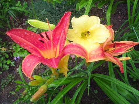 �����ҵ����(�ÿ����ϣ�