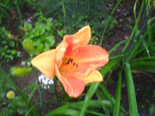 �����ҵ����(�ÿ����ϣ�