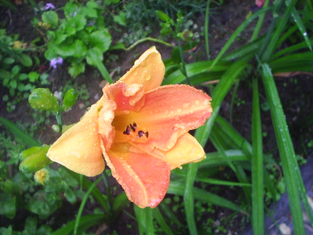 �����ҵ����(�ÿ����ϣ�