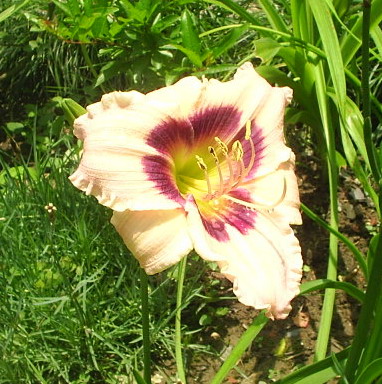 �����ҵ����(�ÿ����ϣ�