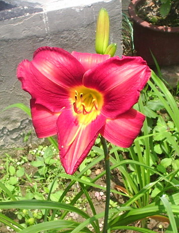 �����ҵ����(�ÿ����ϣ�