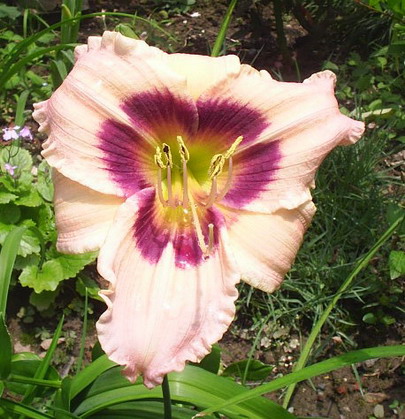 �����ҵ����(�ÿ����ϣ�