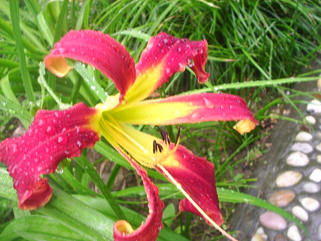 �����ҵ����(�ÿ����ϣ�