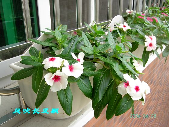 P11����������...