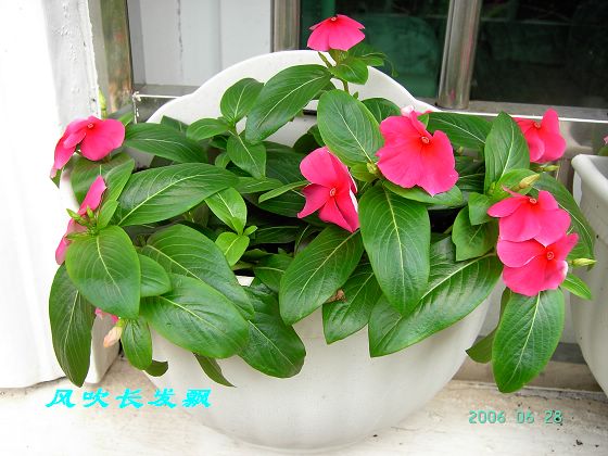 P11����������...