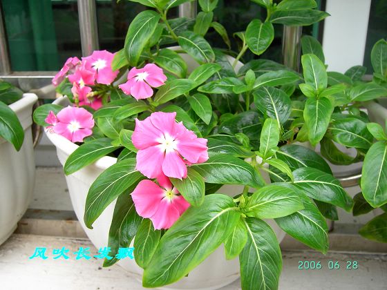 P11����������...