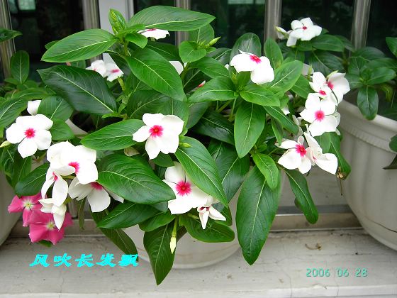 P11����������...