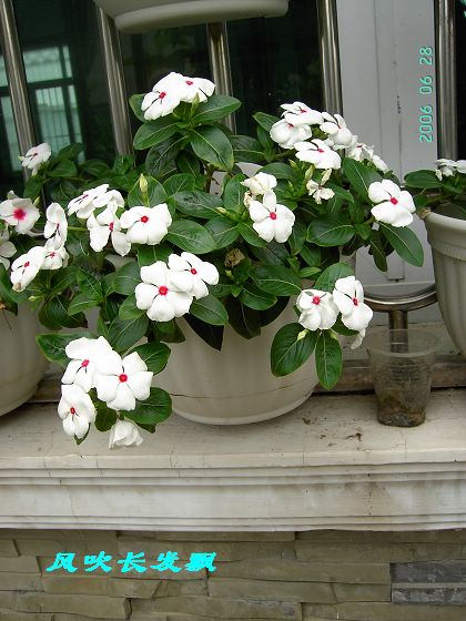 P11����������...