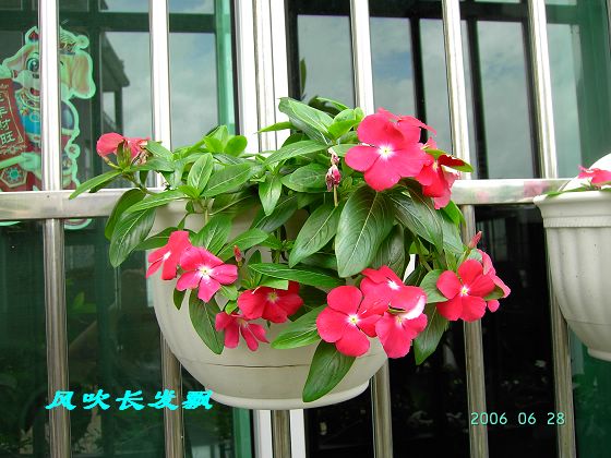 P11����������...