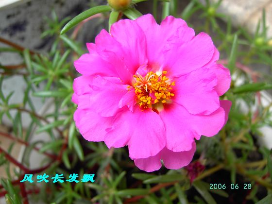 P11����������...