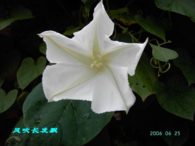 P11����������...