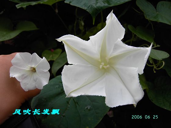 P11����������...